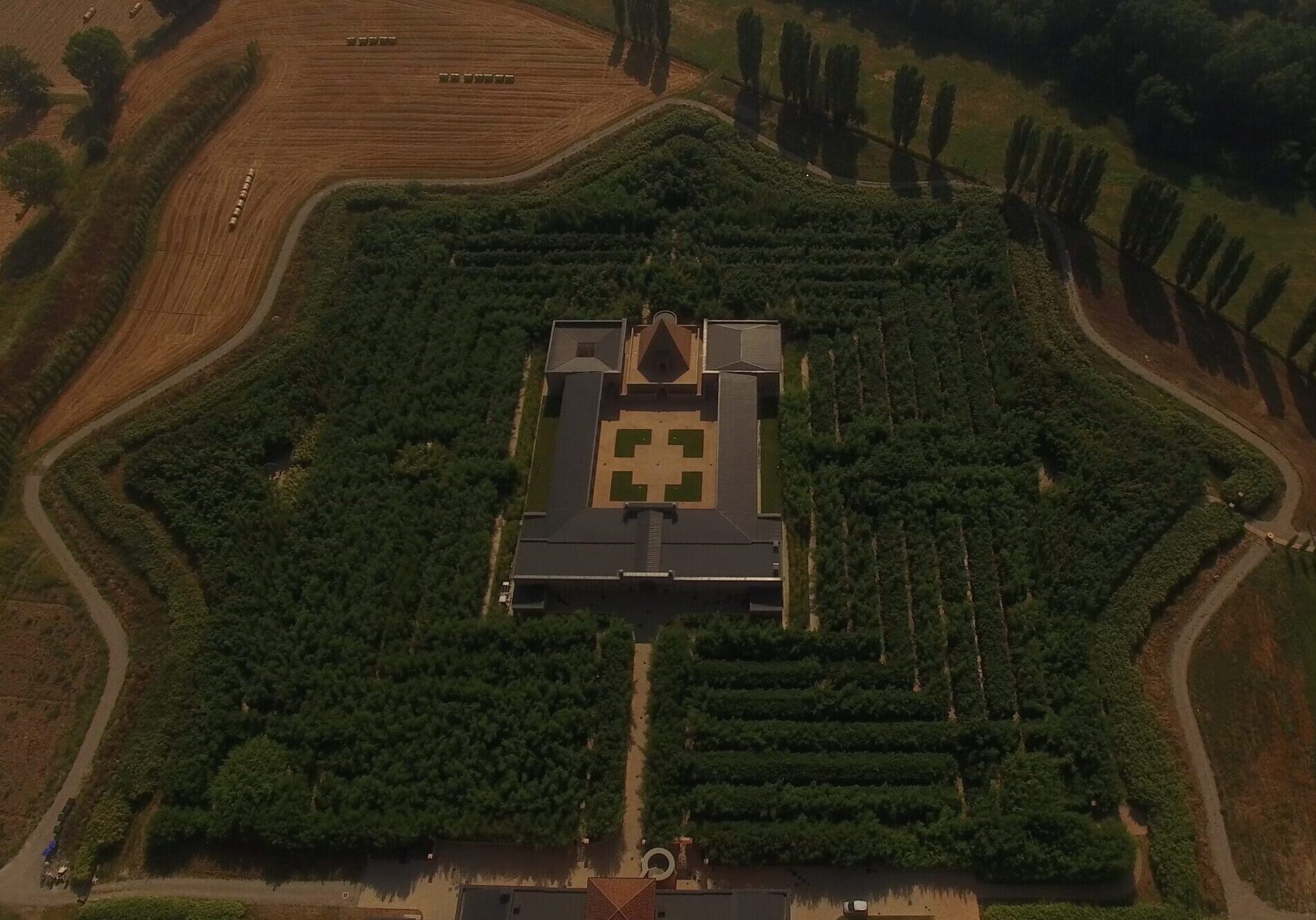 Labirinto Borges Bambu